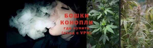 дживик Балахна