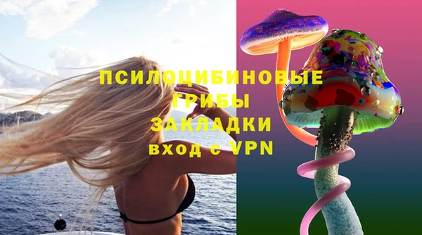 индика Куйбышев