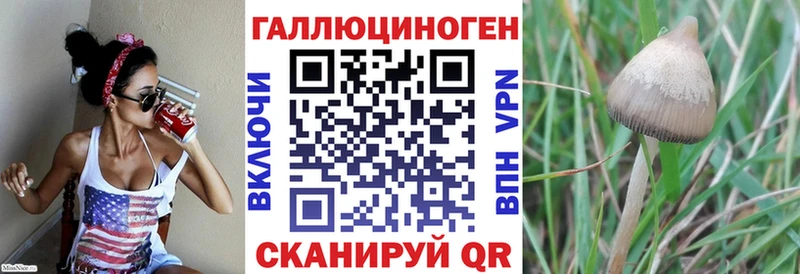 OMG сайт  Бикин  Псилоцибиновые грибы мицелий 